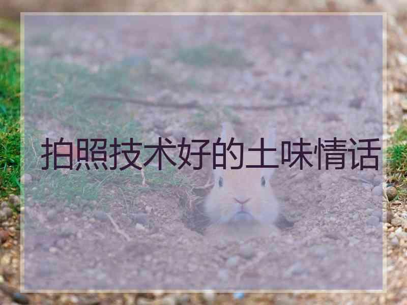 拍照技术好的土味情话