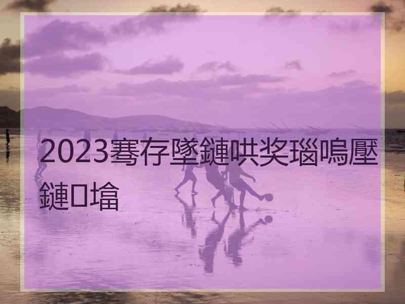 2023骞存墜鏈哄奖瑙嗚壓鏈墖