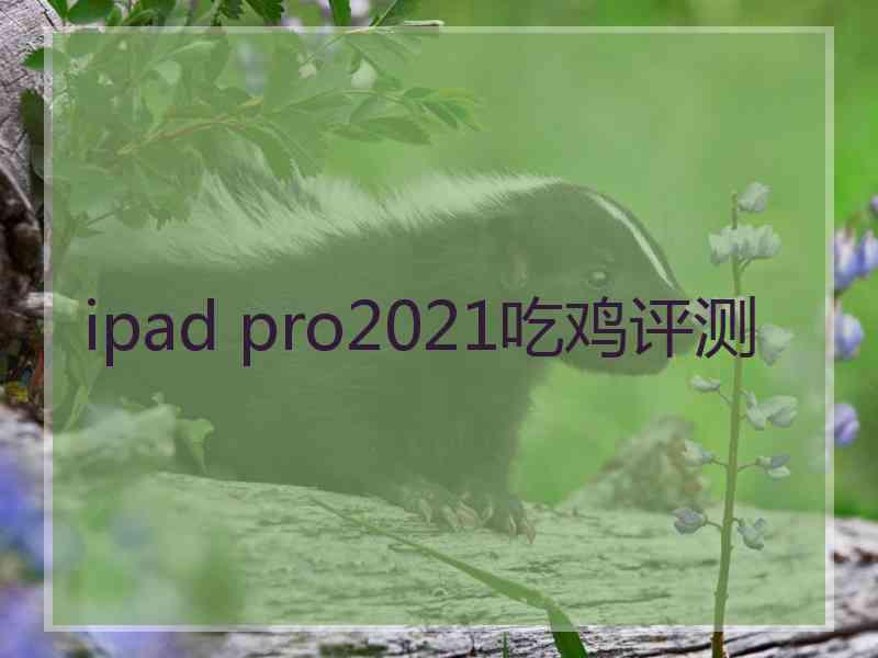 ipad pro2021吃鸡评测