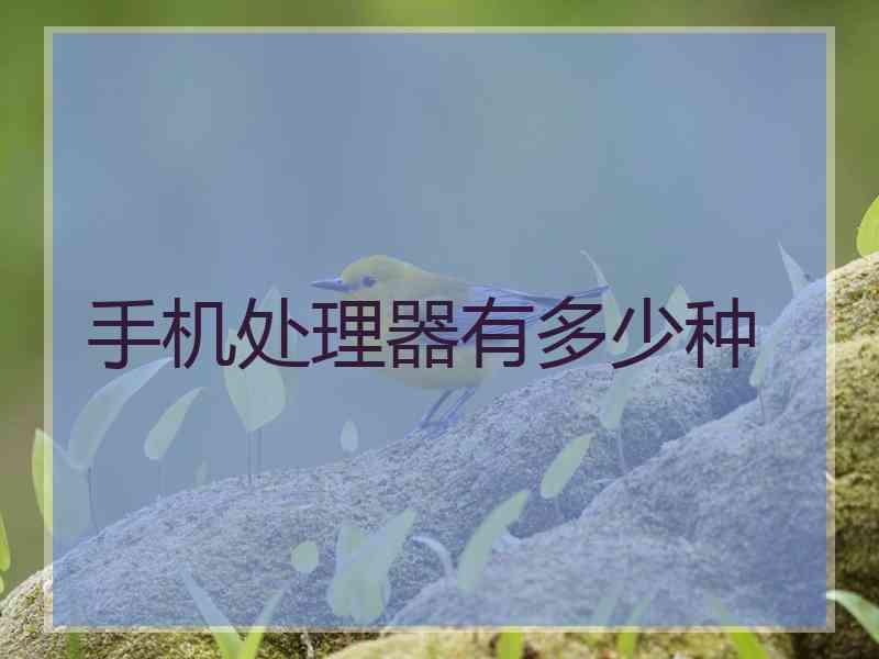 手机处理器有多少种