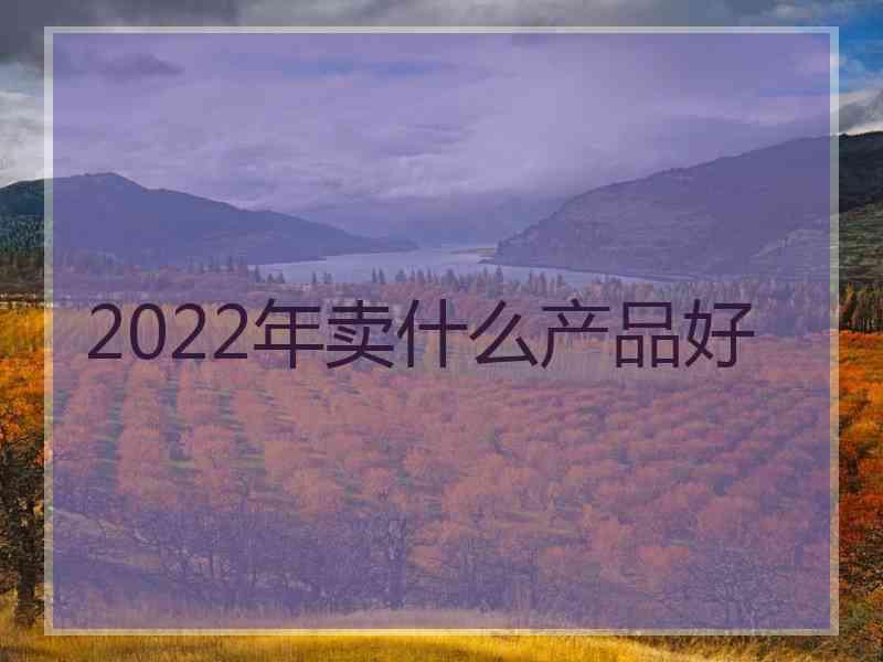 2022年卖什么产品好