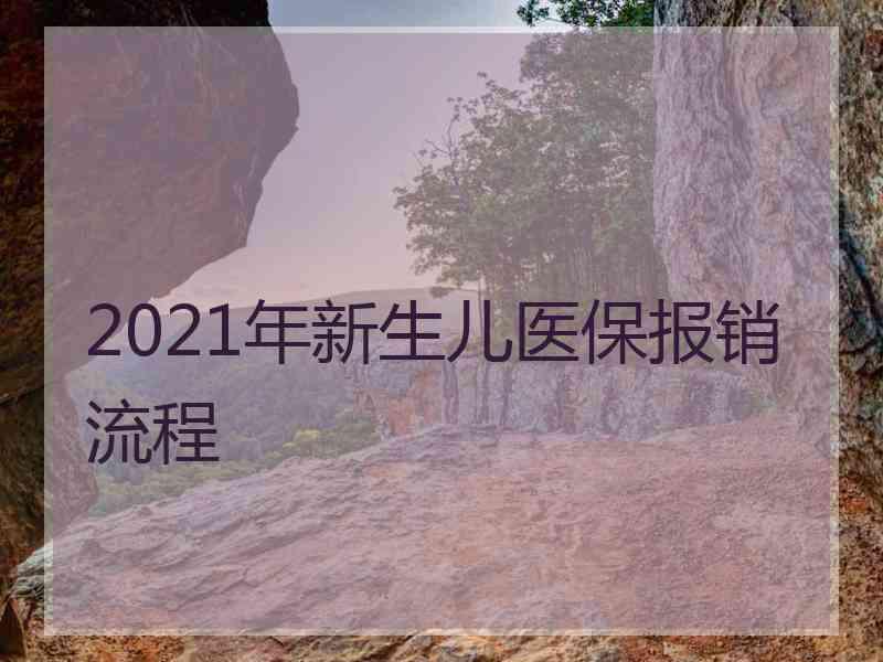 2021年新生儿医保报销流程
