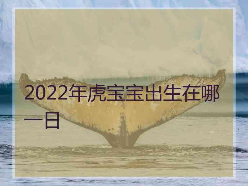 2022年虎宝宝出生在哪一日