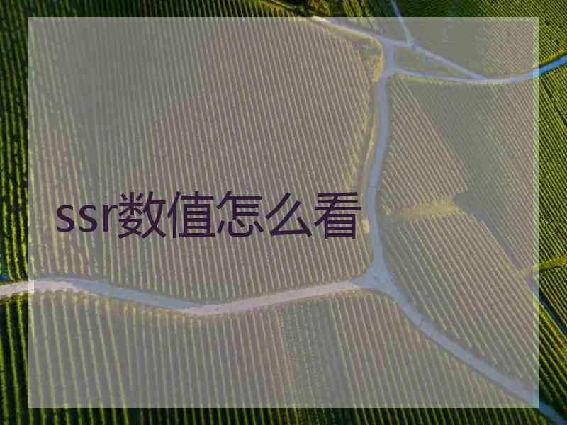 ssr数值怎么看
