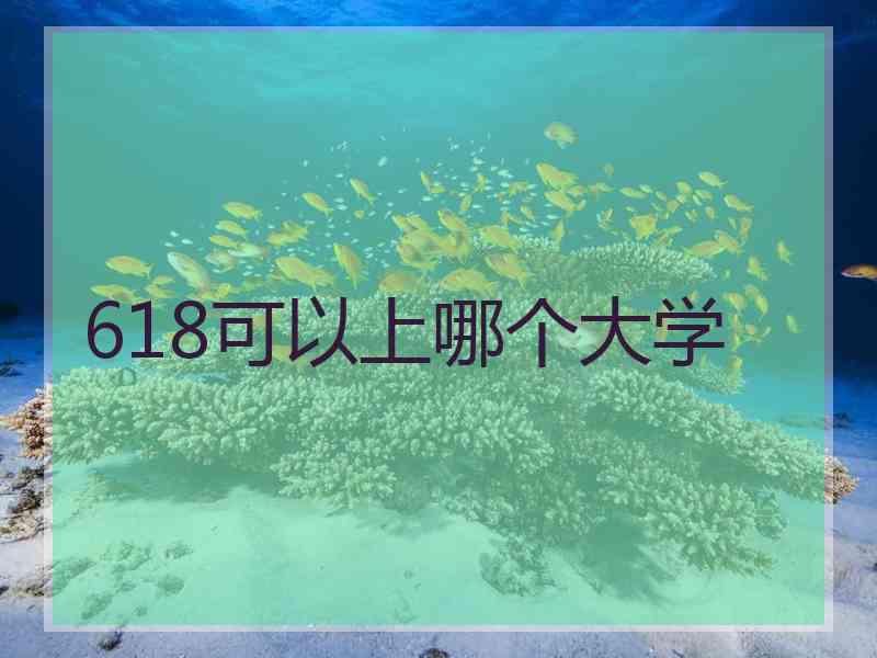 618可以上哪个大学