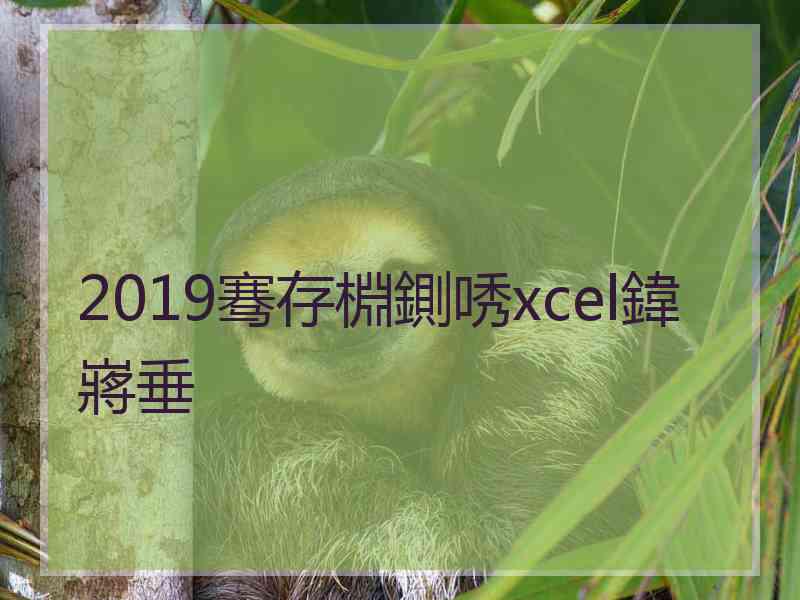2019骞存棩鍘唀xcel鍏嶈垂