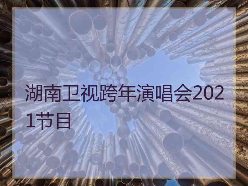 湖南卫视跨年演唱会2021节目