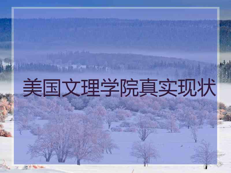 美国文理学院真实现状