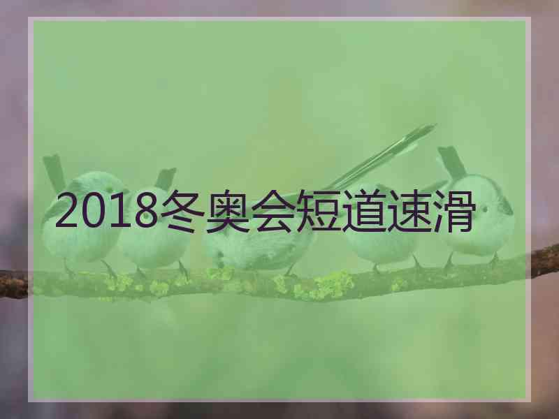 2018冬奥会短道速滑