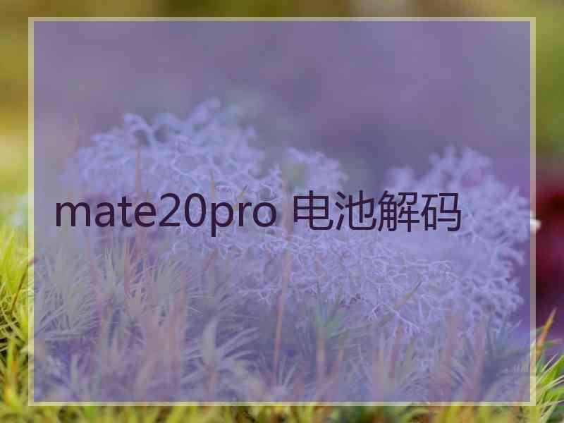 mate20pro 电池解码