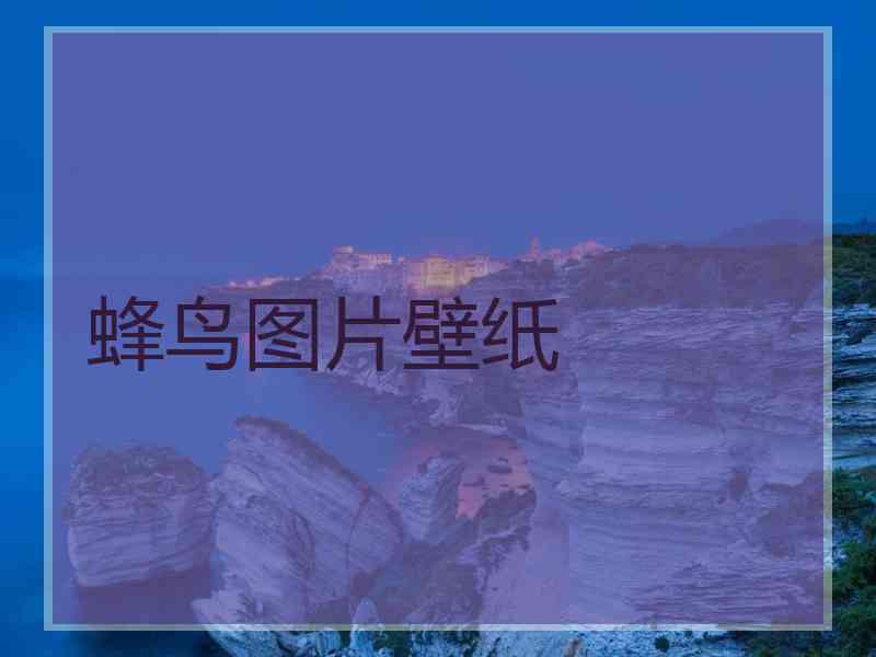 蜂鸟图片壁纸