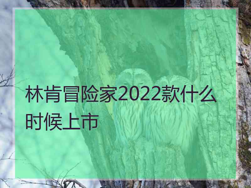 林肯冒险家2022款什么时候上市