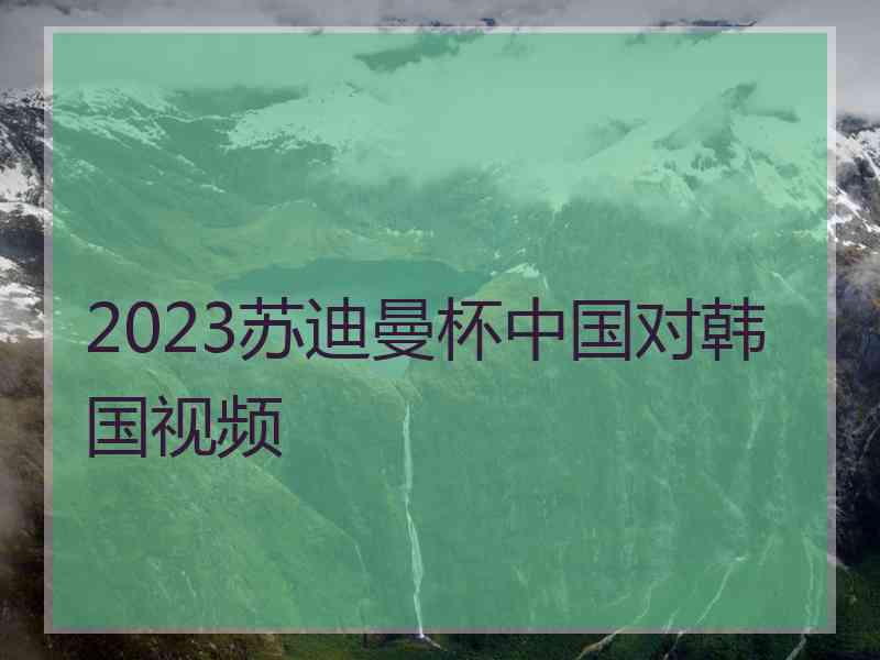 2023苏迪曼杯中国对韩国视频