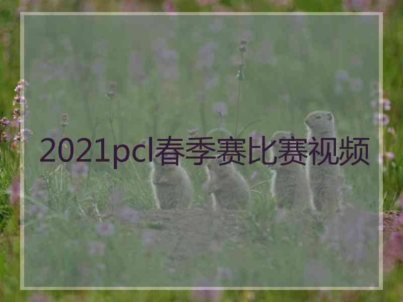2021pcl春季赛比赛视频