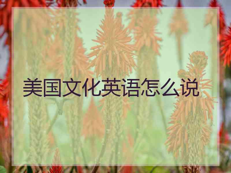美国文化英语怎么说