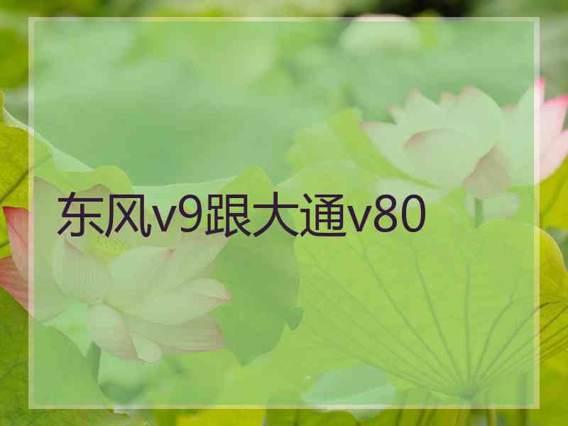 东风v9跟大通v80