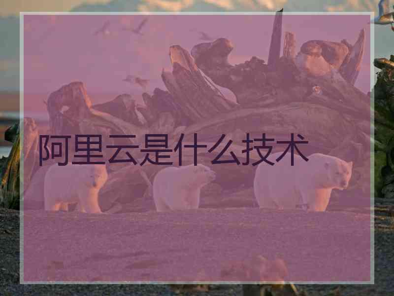 阿里云是什么技术