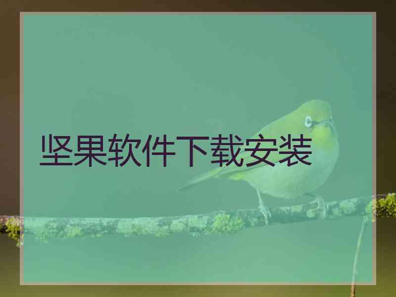 坚果软件下载安装
