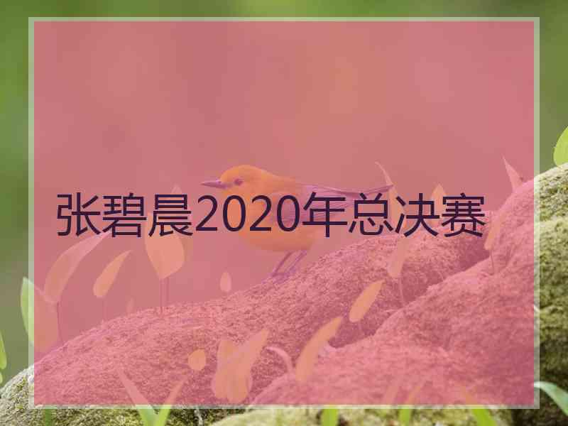 张碧晨2020年总决赛