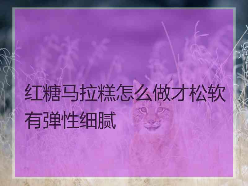 红糖马拉糕怎么做才松软有弹性细腻