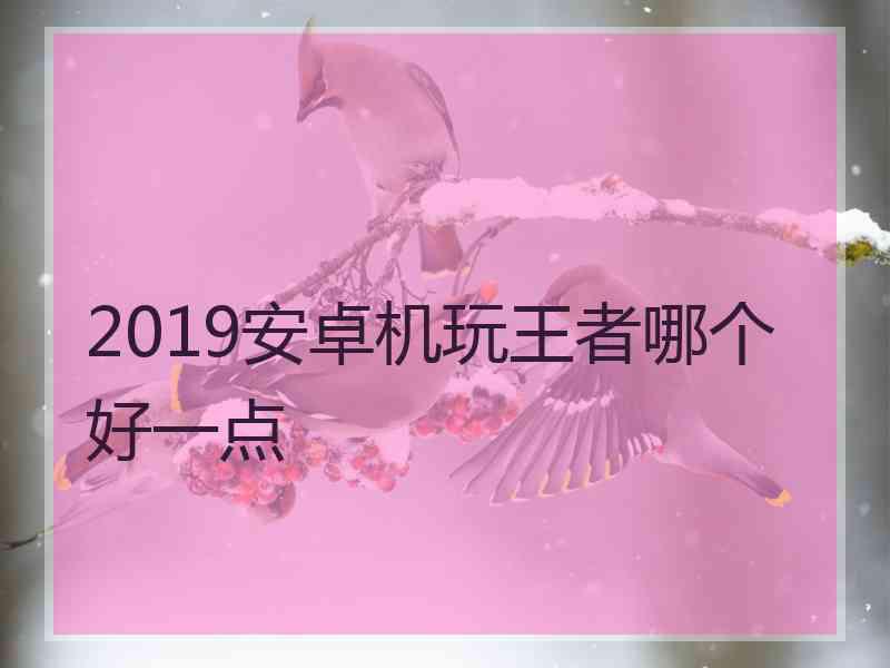 2019安卓机玩王者哪个好一点
