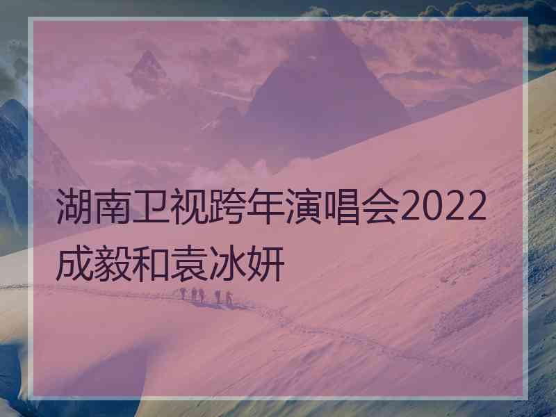 湖南卫视跨年演唱会2022成毅和袁冰妍
