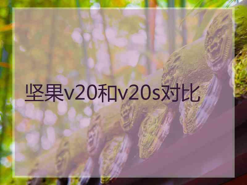 坚果v20和v20s对比