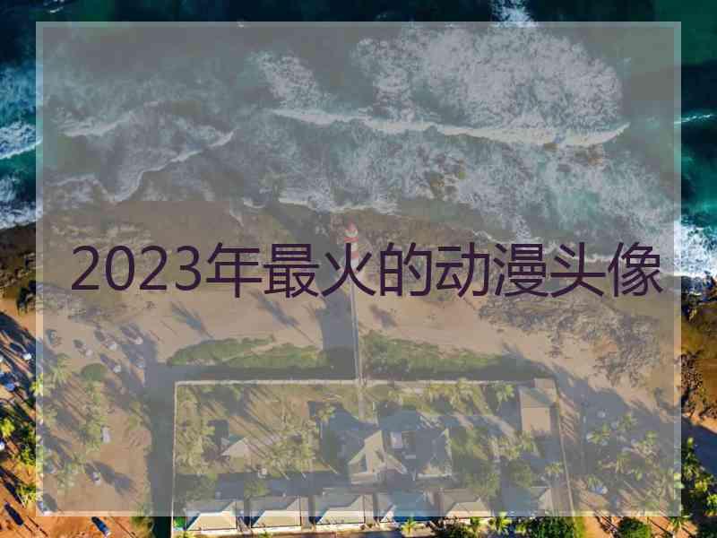 2023年最火的动漫头像