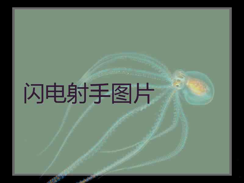 闪电射手图片