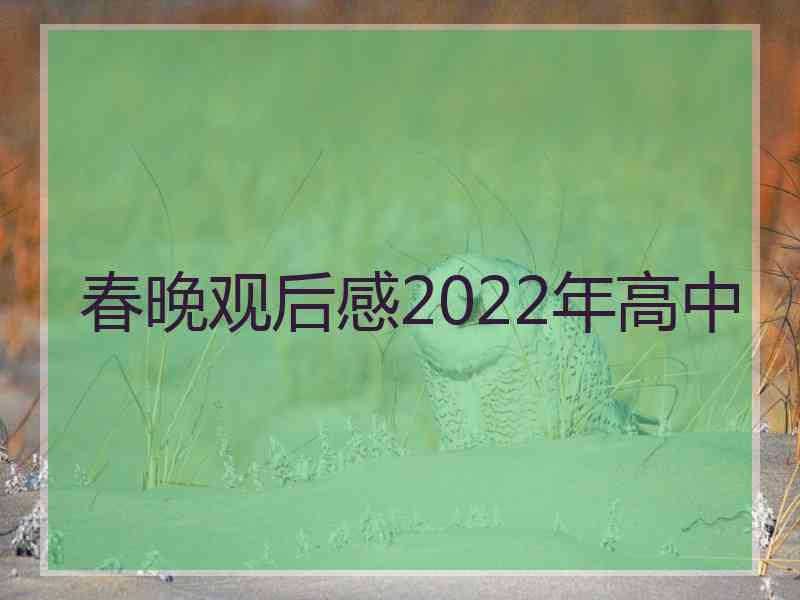 春晚观后感2022年高中