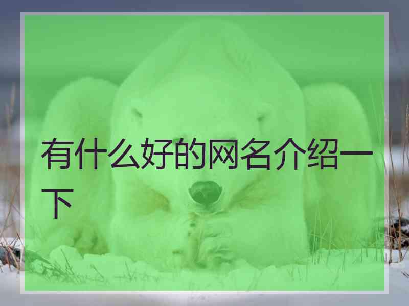 有什么好的网名介绍一下