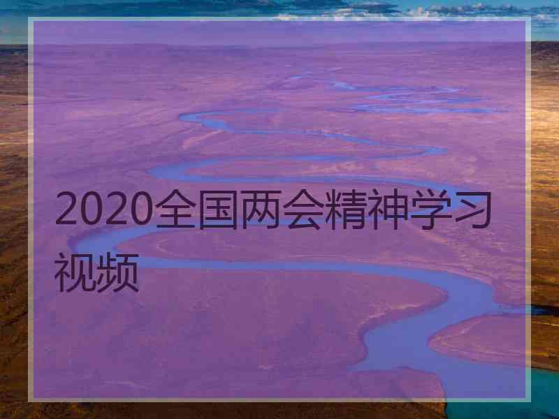 2020全国两会精神学习视频