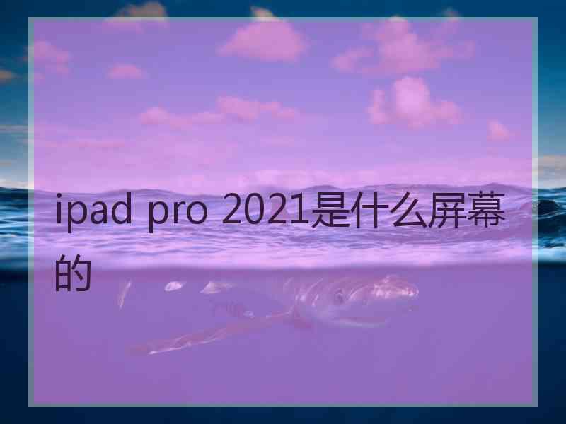 ipad pro 2021是什么屏幕的