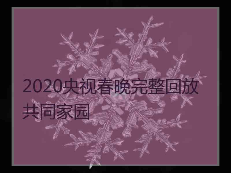 2020央视春晚完整回放共同家园