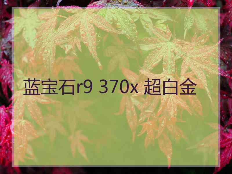 蓝宝石r9 370x 超白金