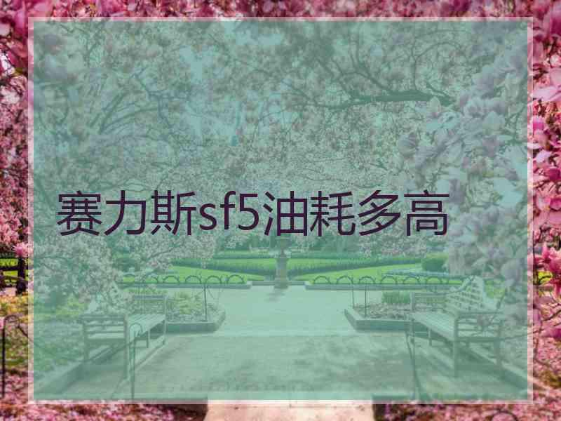 赛力斯sf5油耗多高