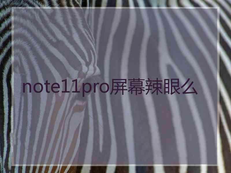 note11pro屏幕辣眼么