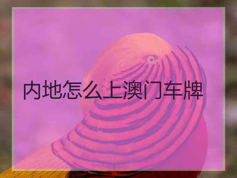 内地怎么上澳门车牌