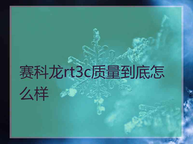 赛科龙rt3c质量到底怎么样