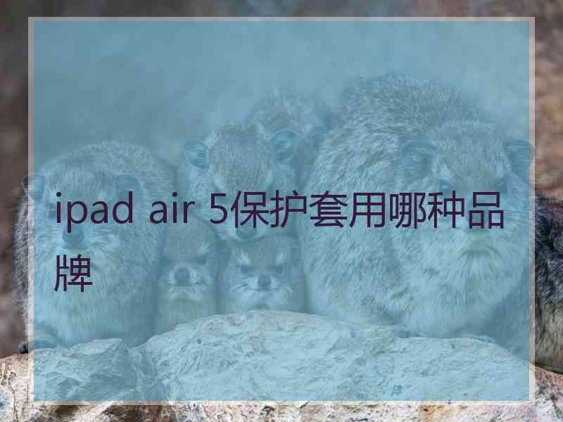 ipad air 5保护套用哪种品牌