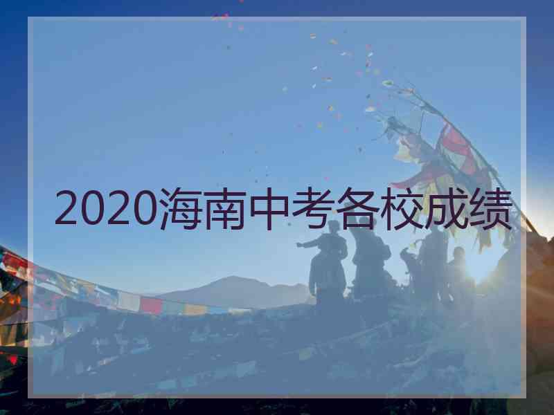 2020海南中考各校成绩