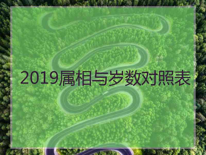 2019属相与岁数对照表
