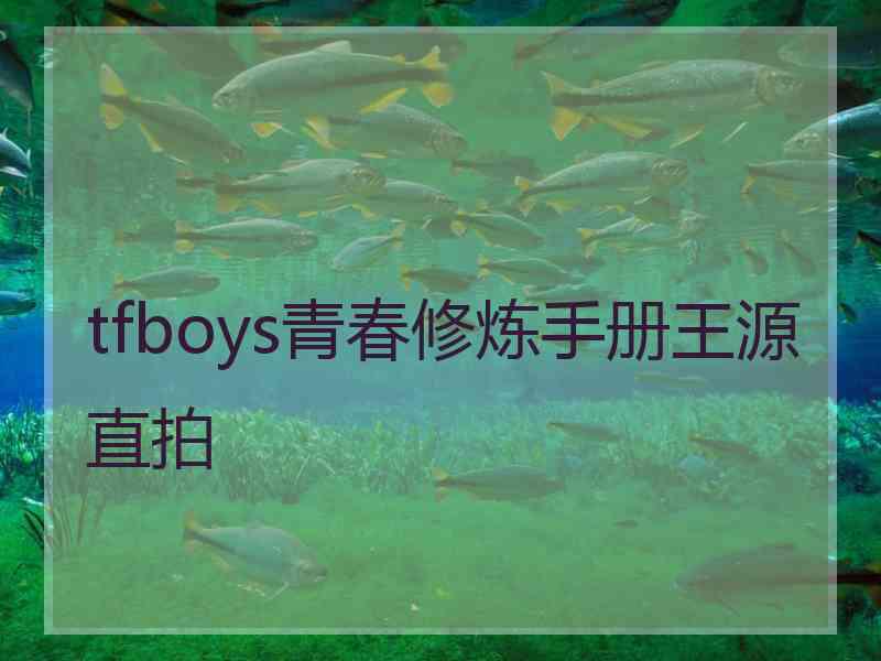 tfboys青春修炼手册王源直拍