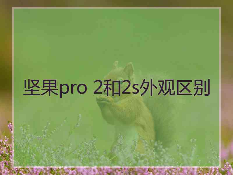 坚果pro 2和2s外观区别
