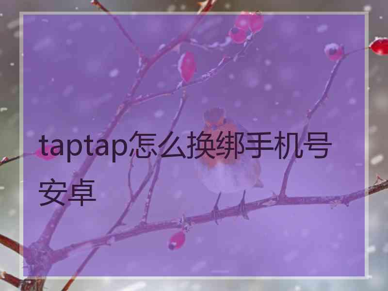 taptap怎么换绑手机号安卓