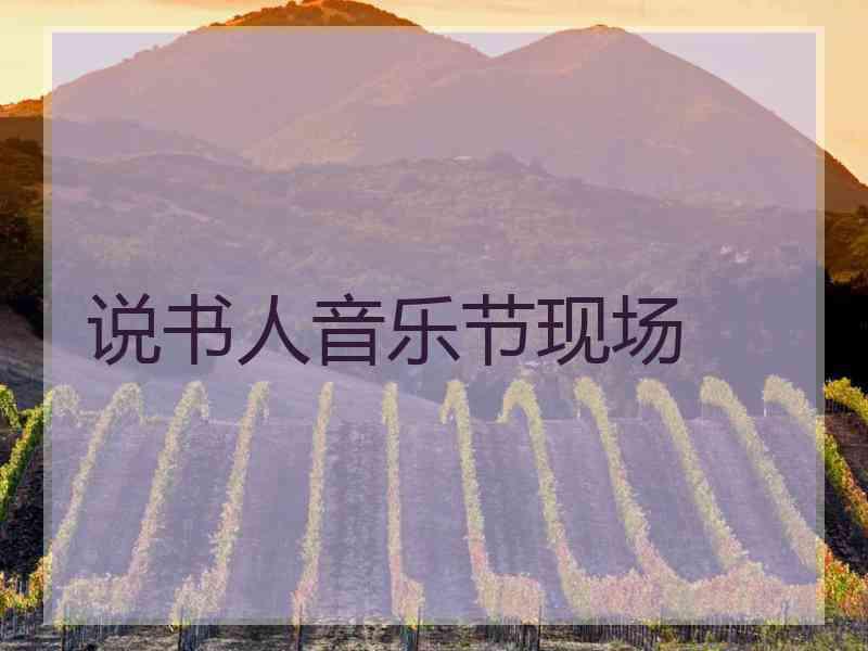 说书人音乐节现场