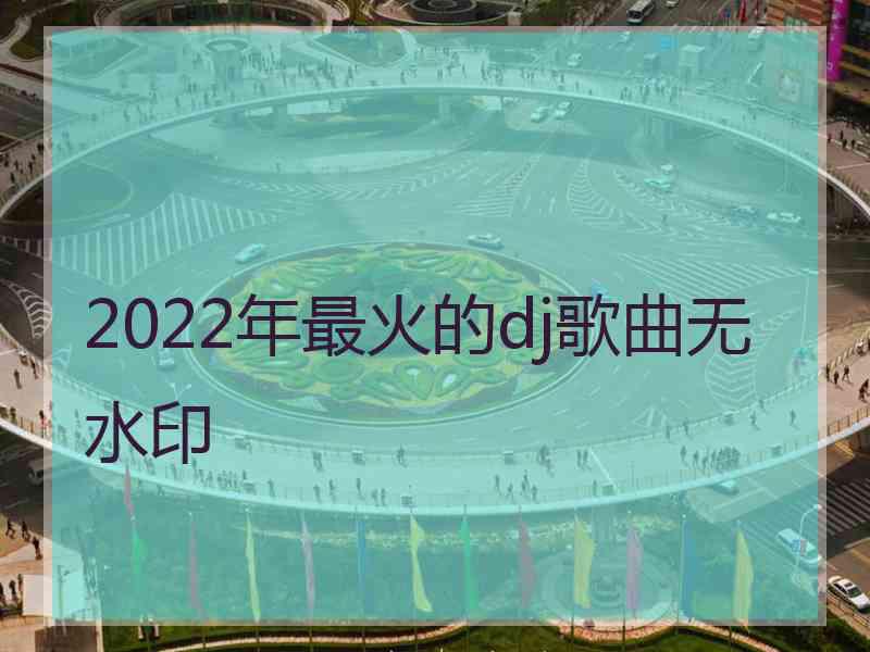 2022年最火的dj歌曲无水印