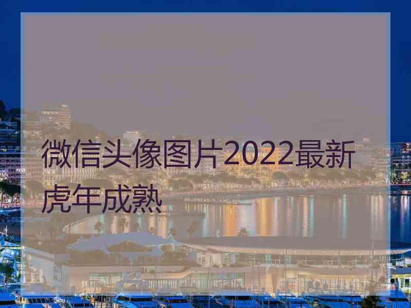 微信头像图片2022最新虎年成熟