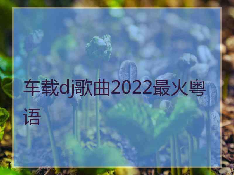 车载dj歌曲2022最火粤语