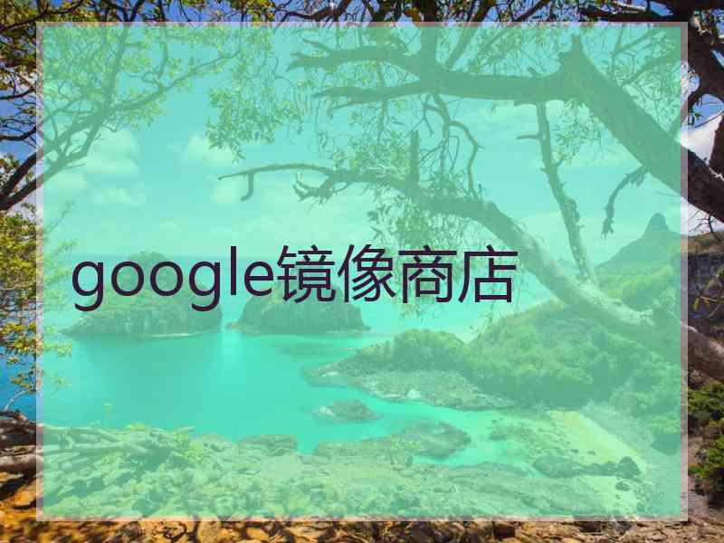 google镜像商店